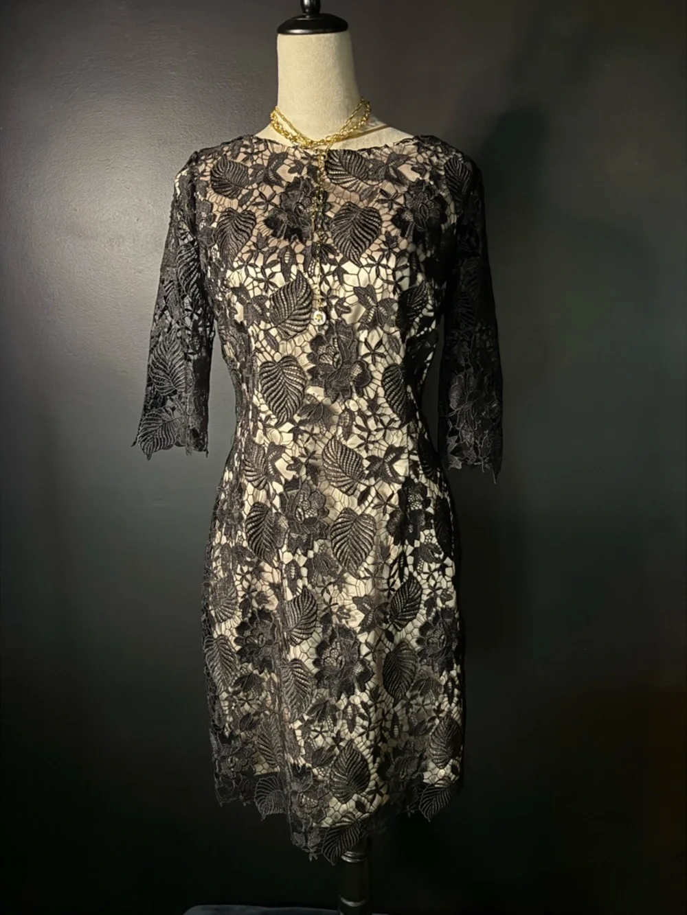 Elegant Black Lace Sheath Dress with Nude Lining - Picture 3 of 7